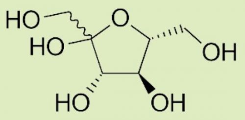 Fructose explained 2